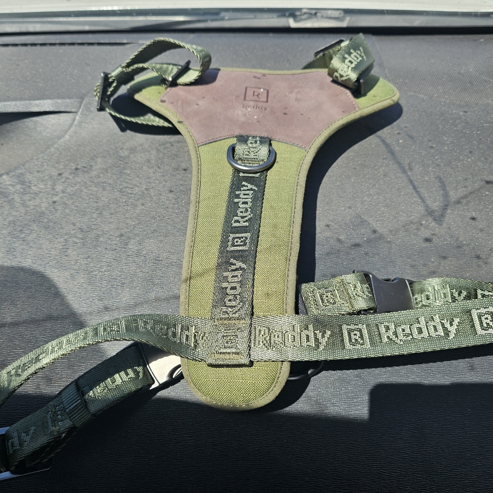 Reddy Green Dog Harness Large To Xlarge